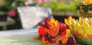 Haus Margarethe Herbstterrasse